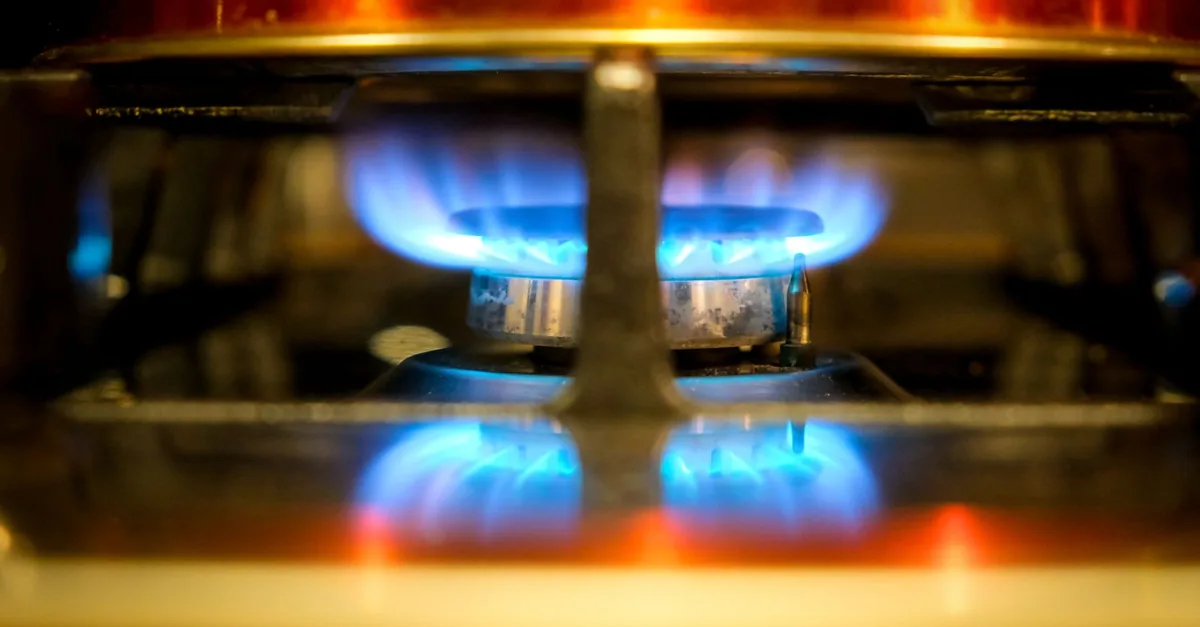 Blue flame burning on a gas cooktop burner