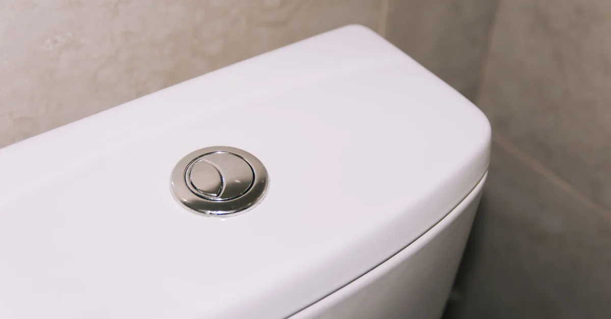 A chrome dual flush button on the lid of a white toilet cistern