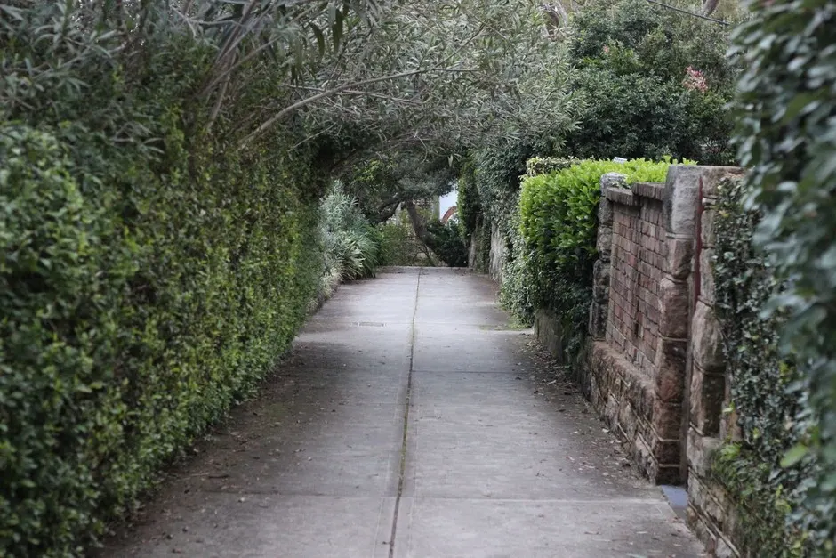 A concrete footpath running between a hedge and a brick and sandstone front wall in a Sydney suburb